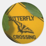 Butterfly Crossing Round Sticker