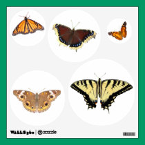 Butterfly cut outs ~ Decals wall decals