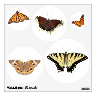 Butterfly cut outs ~ Decals Room Decals