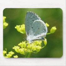 butterfly dayz mousepads