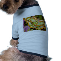 Butterfly pet clothing by oddbob Butterfly pet clothing