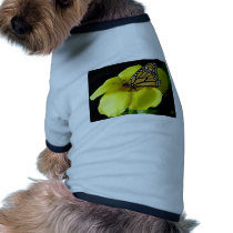 Butterfly pet clothing by oddbob Butterfly pet clothing