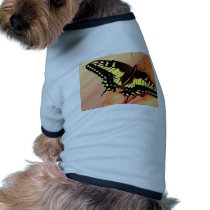 Butterfly pet clothing by oddbob Butterfly pet clothing