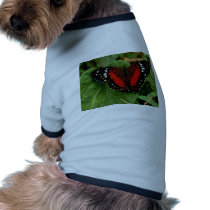 Butterfly pet clothing by oddbob Butterfly pet clothing