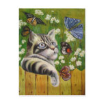 butterfly dream postcards