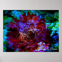 Butterfly Dream Poster
