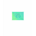Butterfly Dream T Shirts