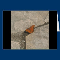 Butterfly Dreams cards