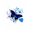 butterfly dreams t-shirts
