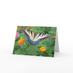 Butterfly - Eastern Tiger Swallowtail Greeting Card