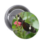 Butterfly Effect Button
