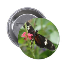 Butterfly Effect Button