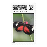 Butterfly Effect Postage Stamp