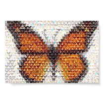 Butterfly Effects posters