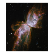 Butterfly Emerges from Stellar Demise in Planetary posters