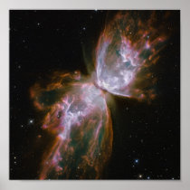 Butterfly Emerges from Stellar Demise in Planetary Print