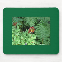 Butterfly Enjoying Some Nector Mouse Pad