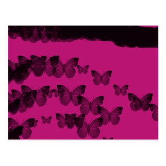 butterfly eternity postcard