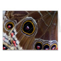 Butterfly Eye cards by cARTerART Butterfly Eye cards
