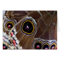 Butterfly Eye cards by cARTerART Butterfly Eye cards