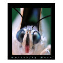Butterfly Face posters