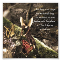 Butterfly Fairy Hans Anderson Quote Photo Print