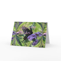 Butterfly Fantasy cards