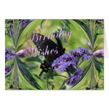 Butterfly Fantasy Cards