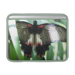 Butterfly Farm 13" MacBook Sleeve