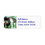 Butterfly Farm Mailing Labels