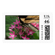 Butterfly Feeding Macro Postage Stamp stamps