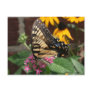 Butterfly Feeding Postcard