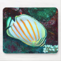 Butterfly fish Mousepad