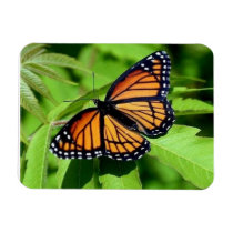 Butterfly flexible magnet