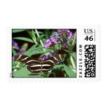 Butterfly Flight postage