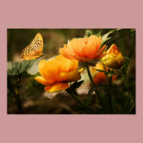 Butterfly Floral posters