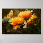 Butterfly Floral Posters