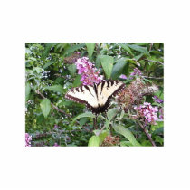 Butterfly & Flower Pin photo sculptures