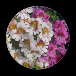 Butterfly Flowers Magnet
