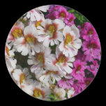 Butterfly Flowers Sticker