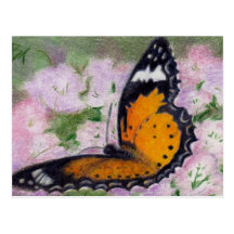 Butterfly Flutter aceo Postcard