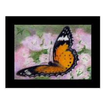Butterfly Flutter aceo Postcard