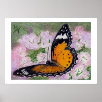 Butterfly Flutter aceo Poster Print print