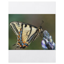 Butterfly flyers