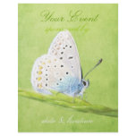 Butterfly flyers