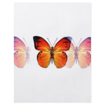 Butterfly Flyer