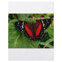 Butterfly Personalized Flyer