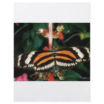 Butterfly flyers by oddbob Butterfly flyers