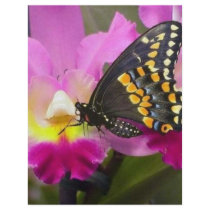 Butterfly Full Color Flyer