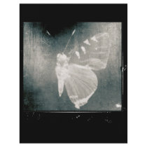 butterfly flyers